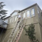 Wall siding and paint