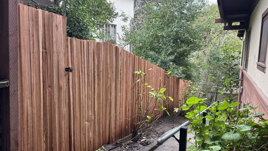 New fence