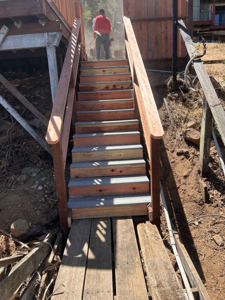new stands
